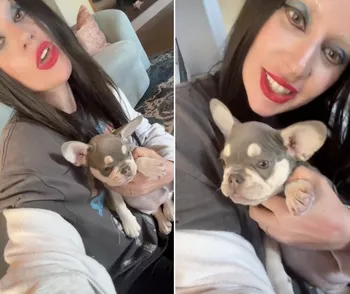 Леди Гага с новым питомцем