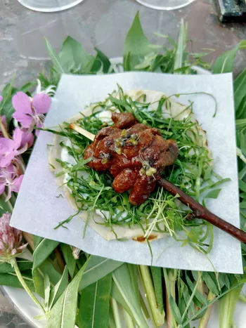 Тако из корня сельдерея с маралом и грибным чаем (Ликарион Солнцев)