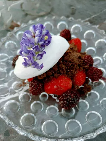 Десерт из хакасской подкопченой клубники с дыней и травами (Хайям Аминов)