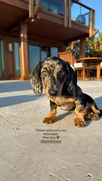 Из блога Алекс