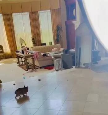 Из блога Бритни Спирс