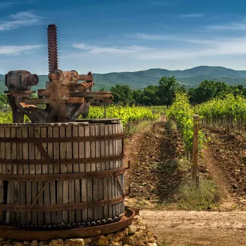 Винодельня Gunko Winery