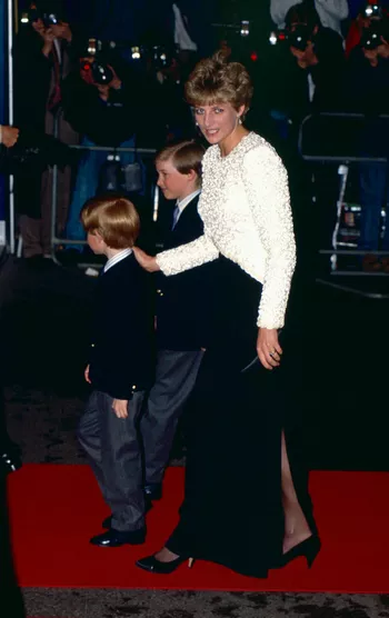 Принцесса Диана с сыновьями