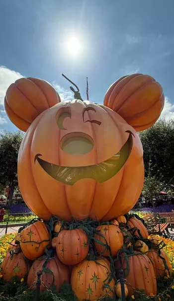 Из блога Кардашьян