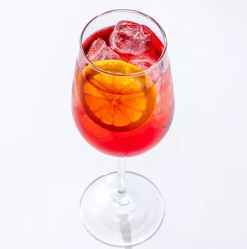 Martini Fiero Tonic