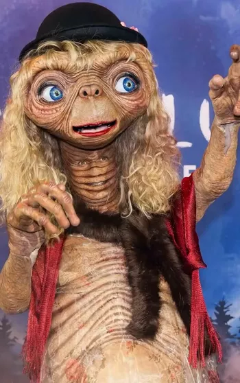 Костюм Хайди