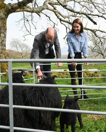 Кейт и Уильям