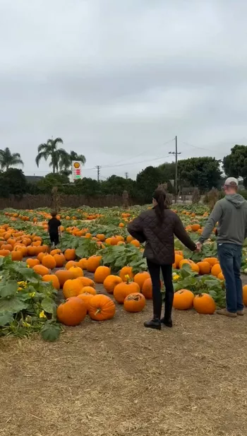 Гарри и Меган