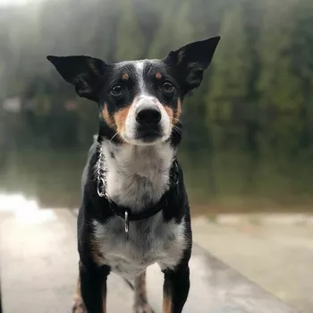 Из блога Хилари Суонк