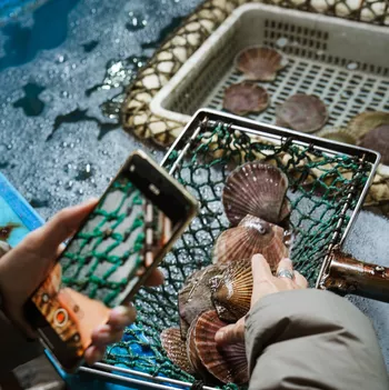 Их можно подержать в руках, пофотографировать