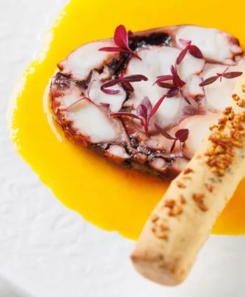 Галантин из осьминога с соусом из желтых томатов и гриссини с водорослями комбу