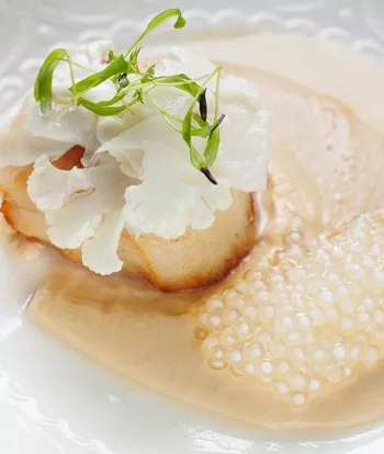 Обжаренный гребешок с соусом из цветной капусты и лимонным гелем