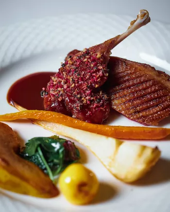 Жаркое из дикой утки-кряквы