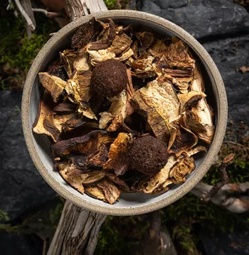 Конфета с крем-супом из белых грибов