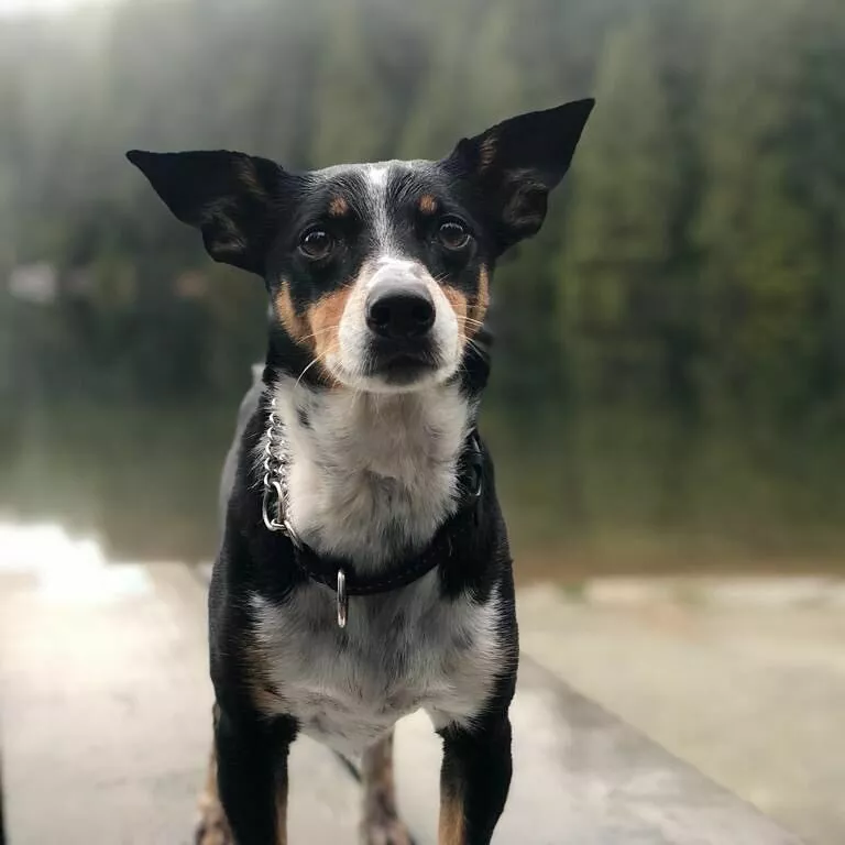 Из блога Хилари Суонк