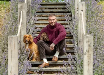 Дэвид Бекхэм