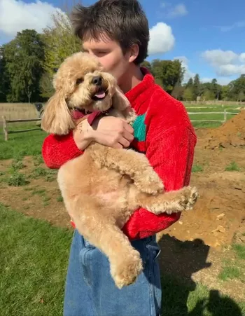 Круз Бекхэм