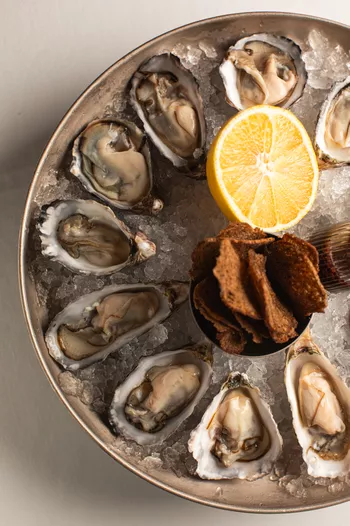 Дюжина устриц 