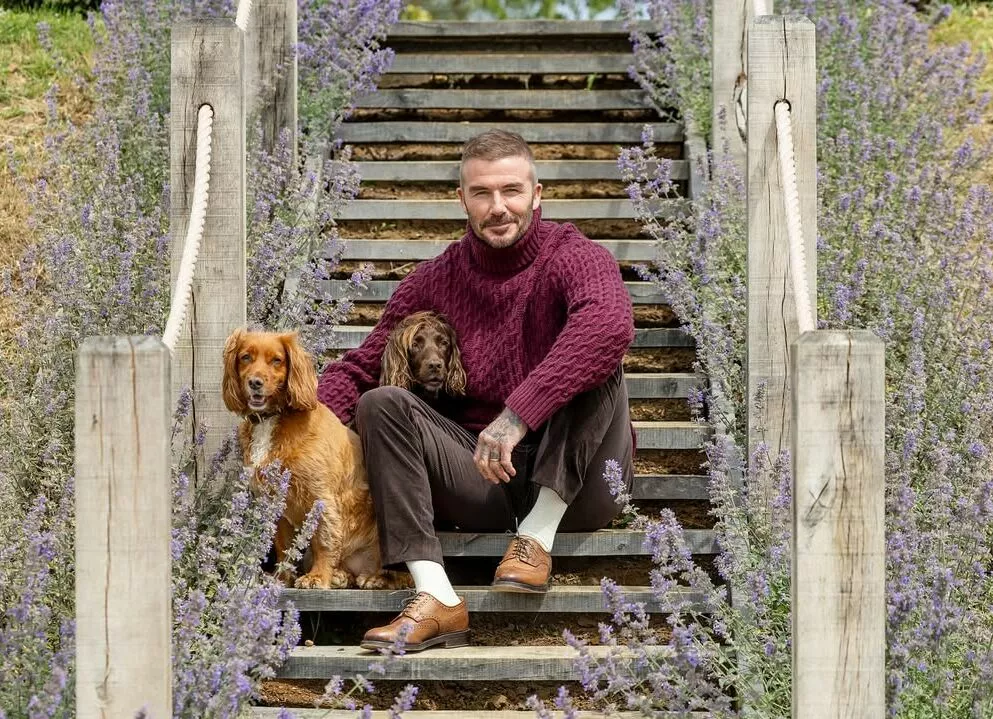 Как Дэвид Бекхэм отметил посвящение в рыцари