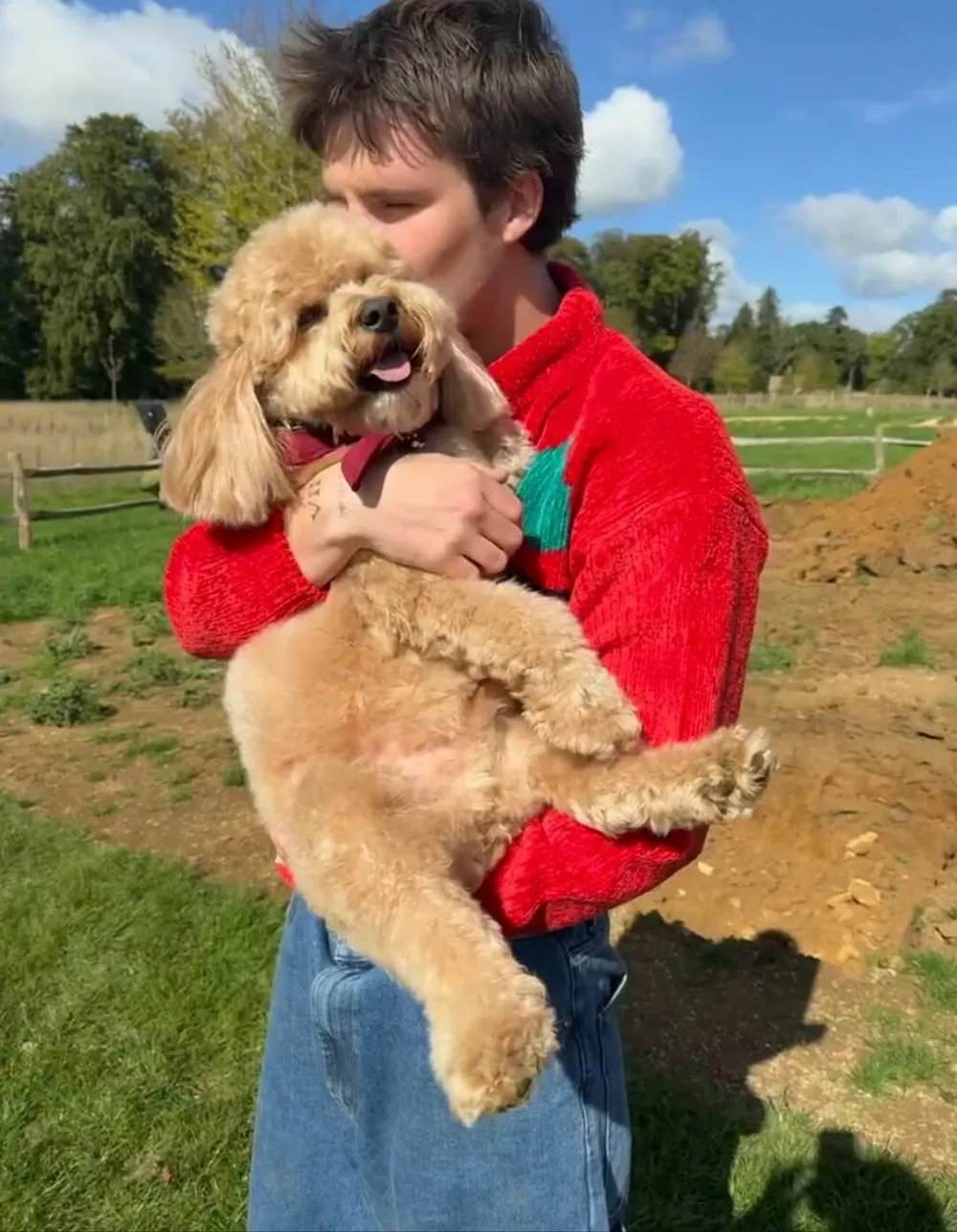 Круз Бекхэм