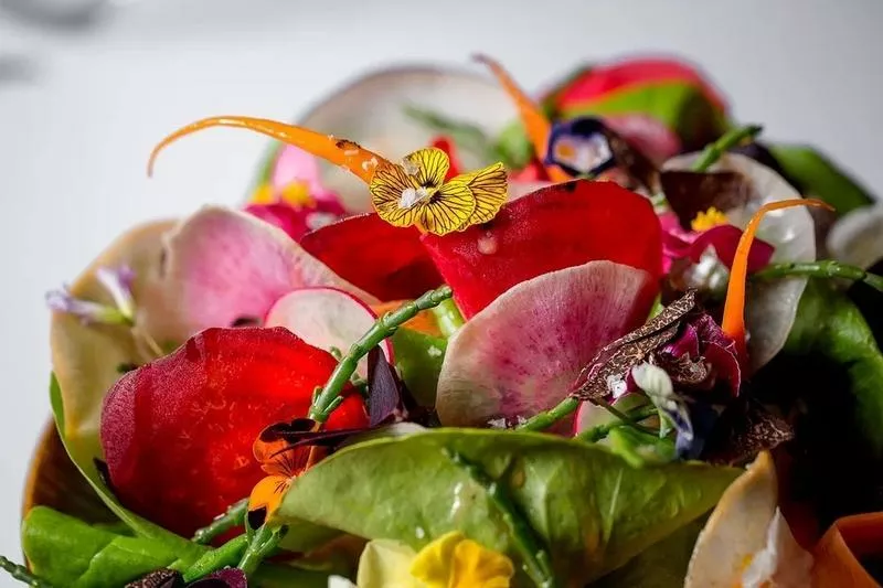 Сезонный салат с инжиром и корнеплодами в Regent