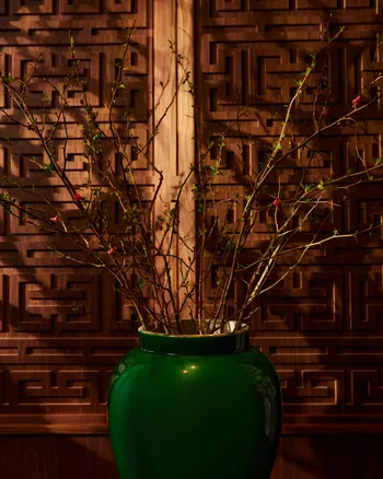 Интерьер Amba