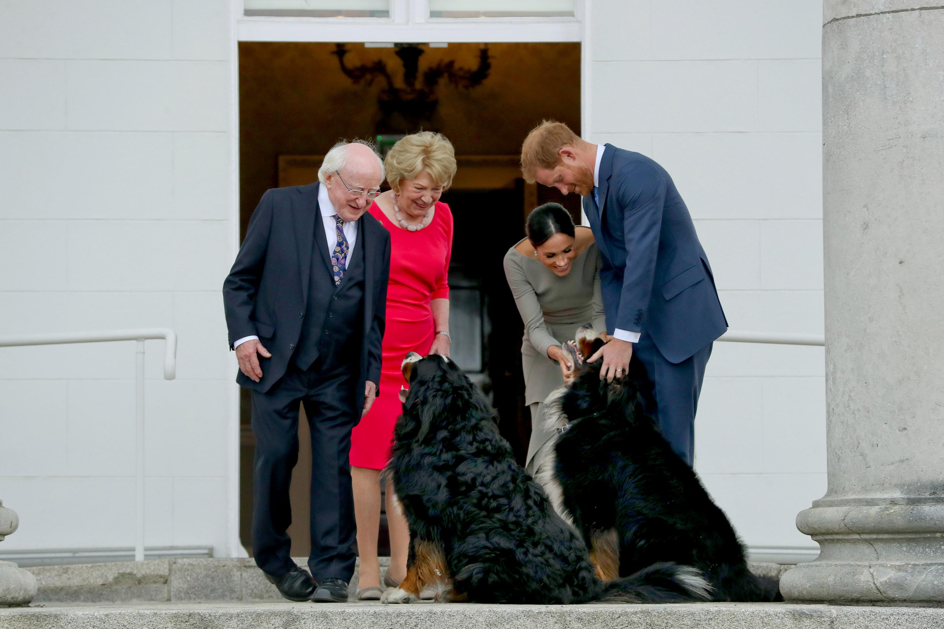  Меган Маркл и принц Гарри с президентом и первой леди Ирландии и их собаками, 2018 год