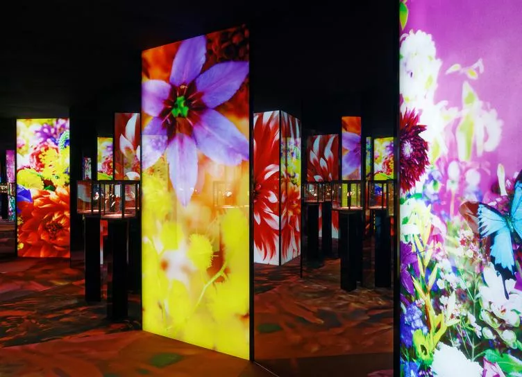 В Москве пройдет выставка Van Cleef & Arpels: FLORAE