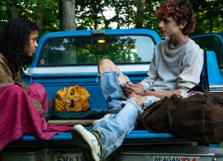 Тимоти Шаламе с розовыми волосами на первых кадрах нового фильма Луки Гуаданьино