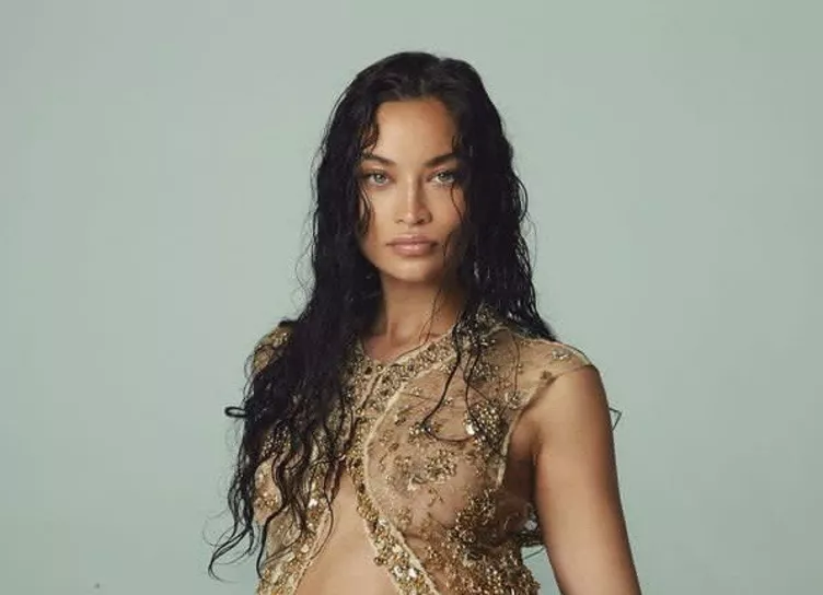 Ангел Victoria's Secret Шанина Шейк впервые стала мамой