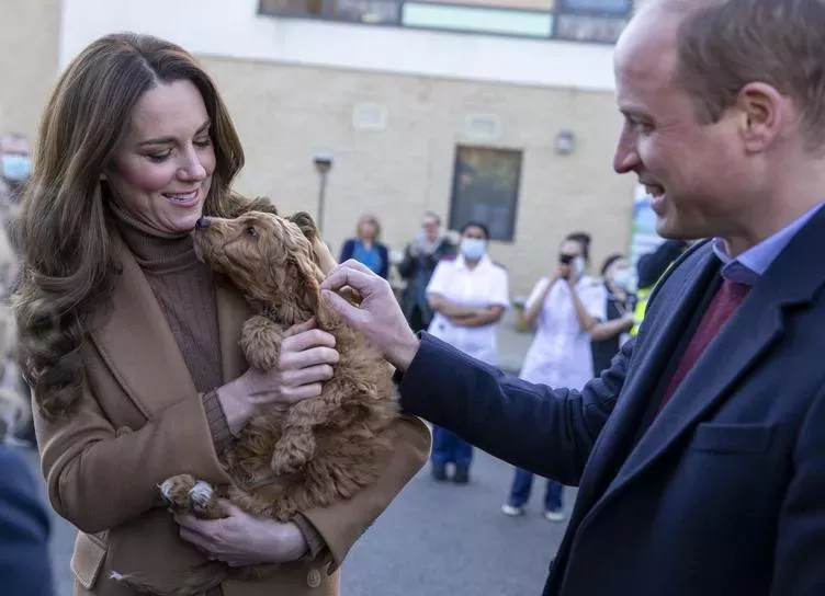 Кейт Миддлтон и принц Уильям посетили больницу в Ланкашире и познакомились с щенком-терапевтом