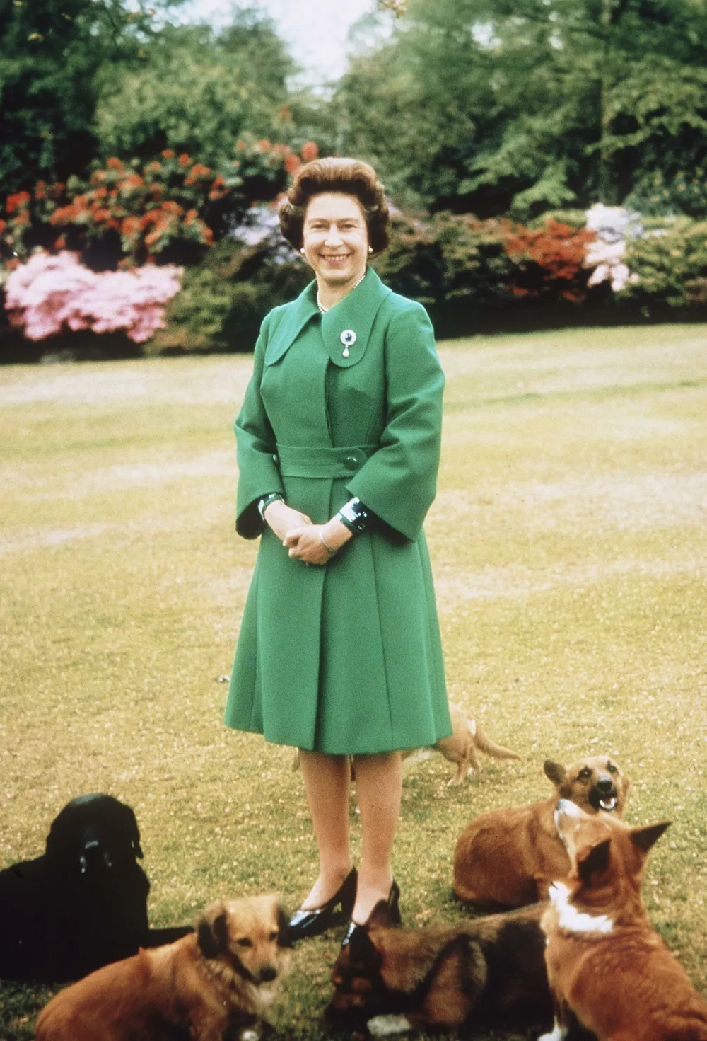 Елизавета II со своими собаками