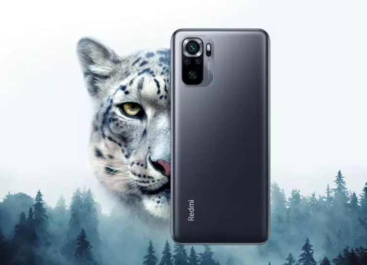 Xiaomi займется спасением снежного барса в России вместе с WWF